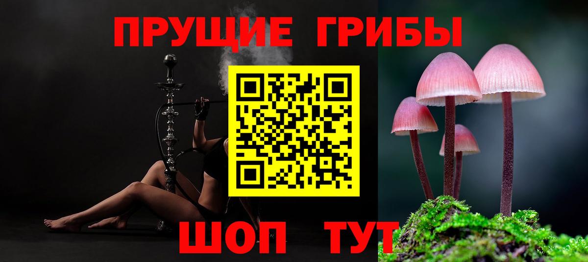 хочу   Псилоцибиновые грибы Psilocybine cubensis  Ленинск-Кузнецкий  Вход с VPN  Галлюциногенные грибы прущие грибы 